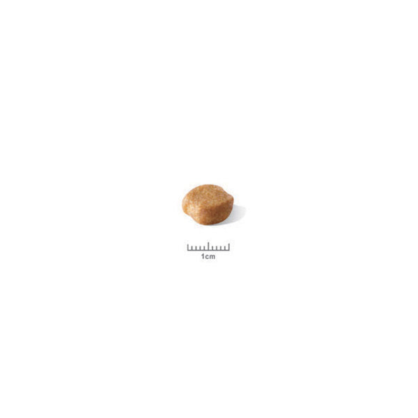 Royal Canin Yorkshire Terrier Adult - 1,5 kg (2)