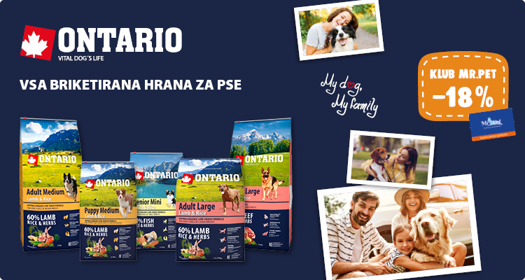 Ontario akcija