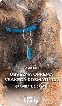 Graviranje pes obesek naslov