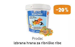 Akvaristika akcija