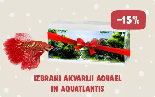 Akvariji akcija