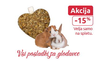 Vsi priboljški za glodalce akcija