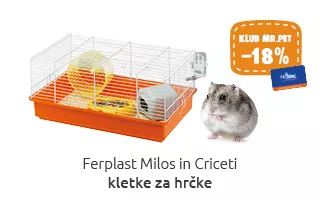 Glodavci akcija