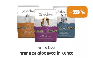 Glodalci akcija