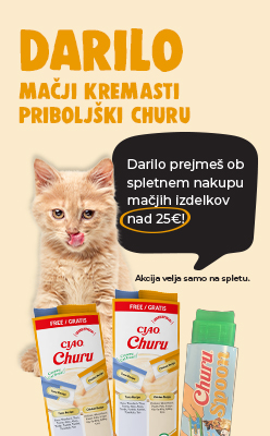 darilce za mačke