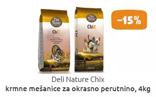 Ptice akcija