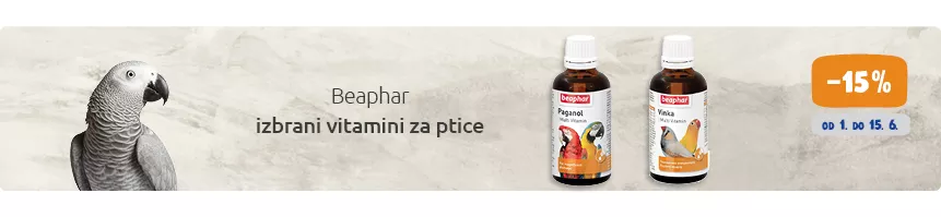 Hrana za ptice akcija