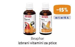 Ptice akcija