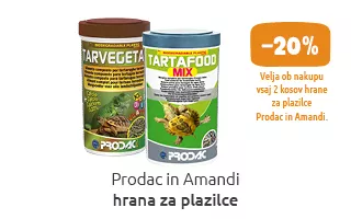 teraristika akcija
