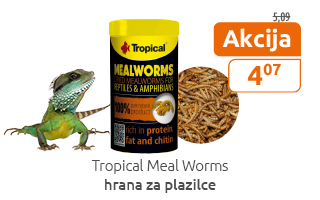 Tropical Meal Worm akcija