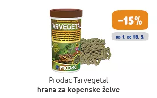 teraristika akcija