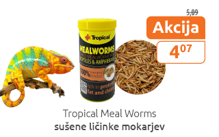 MealWorms za plazilce akcija