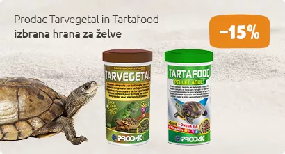 Tartafood akcija