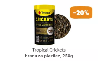 Tropical akcija