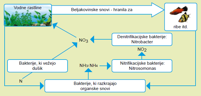 naslov slike za google