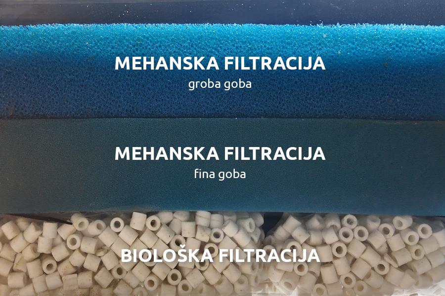 Vrste filtracije akvarijskega filtra Vrste filtracije akvarijskega filtra