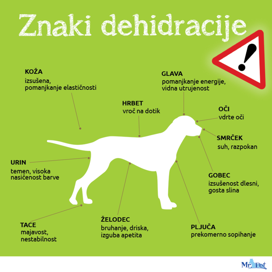 znaki dehidracije pes