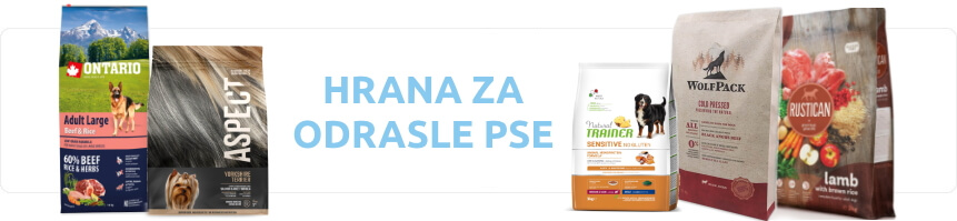 pasja prehrana odraslega psa