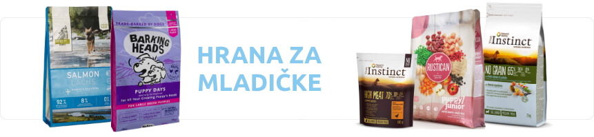 pasja prehrana za mladiče pasja hrana mladič