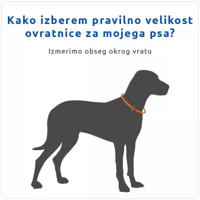 Mesto merjenja za izbiro velikosti ovratnice za psa. vzgojna ovratnica