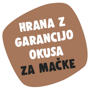Preizkusi hrano za mačke brez tveganja
