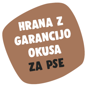 Preizkusi hrano za pse tveganja