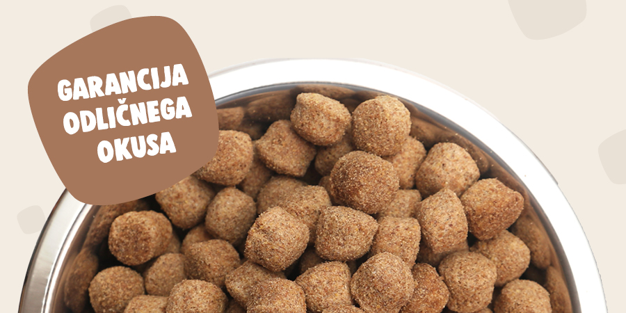 Preizkusi hrano za pse in mačke brez tveganja
