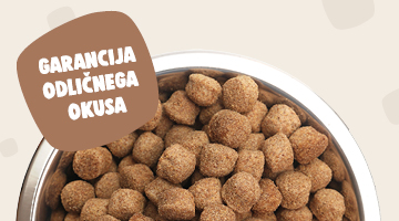 Preizkusi hrano za pse in mačke brez tveganja