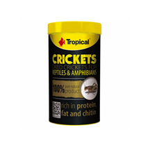 Tropical Crickets - 250 ml / 25 g