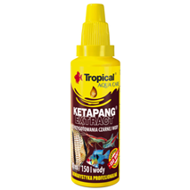 Tropical Ketapang Extract - 50 ml