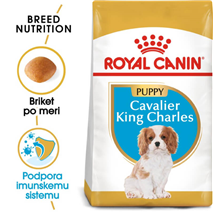 Royal Canin Cavalier King Charles Puppy - 1,5 kg