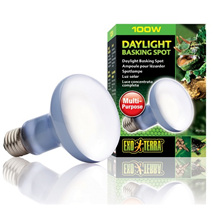 Exo Terra grelna žarnica UVA Daylight - 100 W