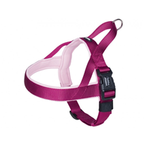 Nobby Classic norveška oprsnica, S/M – roza