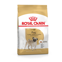 Royal Canin Pug Adult