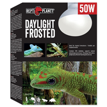 Repti Planet grelna žarnica Daylight Frosted - 50 W