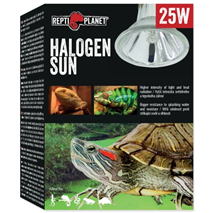 Repti Planet grelna žarnica Halogen Sun - 25 W