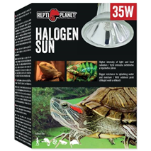 Repti Planet grelna žarnica Halogen Sun - 35 W