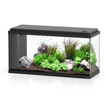 Aquatlantis Bio LED 80 (96 l), črn - 80 x 30 x 40 cm