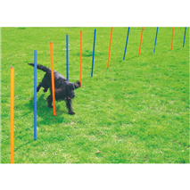 Pawise agility komplet za slalom, 12 kos - 116 cm