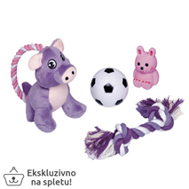 Nobby Puppy Starter Set komplet igračk - 4 kos