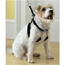 Pawise oprsnica No-Pull, L - 58-83 cm