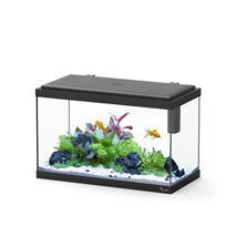 Aquatlantis akvarij Explorer Vienna LED, črn - 42L