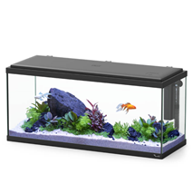 Aquatlantis akvarij Explorer Amsterdam LED Biobox, črn - 85L / 80 x 30 x 37 cm