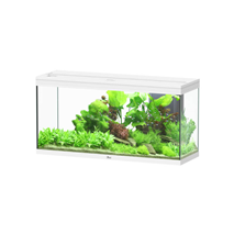 Aquatlantis akvarij Splendid 120 LED 2.0, bel - 294 L / 120,4 x 40 x 61,1 cm