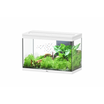 Aquatlantis akvarij Splendid 80 LED 2.0, bel - 180 L / 80,2 x 40 x 56,1 cm