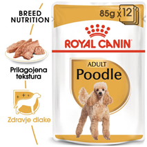 Royal Canin Adult Poodle - pašteta