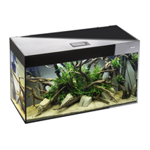 Aquael akvarij Glossy ST 80 Day&Night, črn - 125 L / 80 x 35 x 54 cm