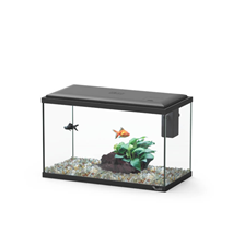 Aquatlantis akvarij Explorer Lisbon LED Biobox, črn - 22 L / 40,5 x 20,5 x 26,5cm