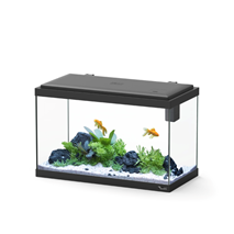 Aquatlantis akvarij Explorer Vienna LED Biobox, črn - 42 L / 50 x 25 x 33 cm