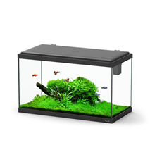 Aquatlantis akvarij Explorer Paris LED Biobox, črn - 58 L / 60 x 30 x 34 cm